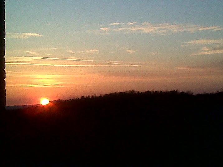 Giuseppe Gorelli tweet media