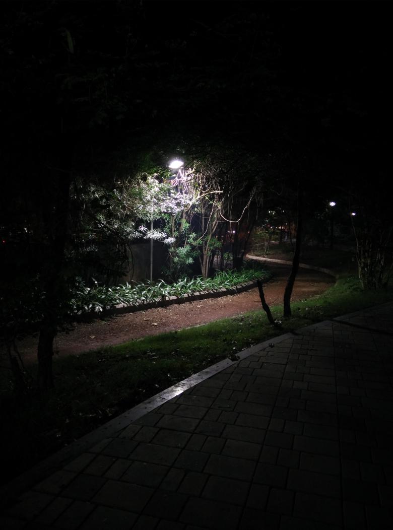 bored2core's tweet image. Winter night, lone shining light.. #1plus #nightPhoto