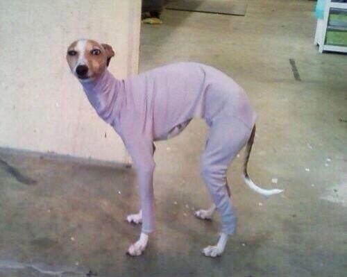 SpeakComedy's tweet photo. When your mom makes you try on clothes you hate http://t.co/RqXBtjTM4X