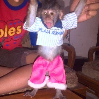 iraaAG's tweet photo. Yaampun lis wkwkw "@elisyuliana1: Rambo♡,tinggal kenangan;(;(;(;(;( http://t.co/XiTIp4ovkr"