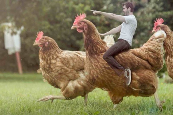 これが噂の天草大王か。。&Sigma;（ﾟдﾟlll） http://t.co/zLm4xT3Sgv