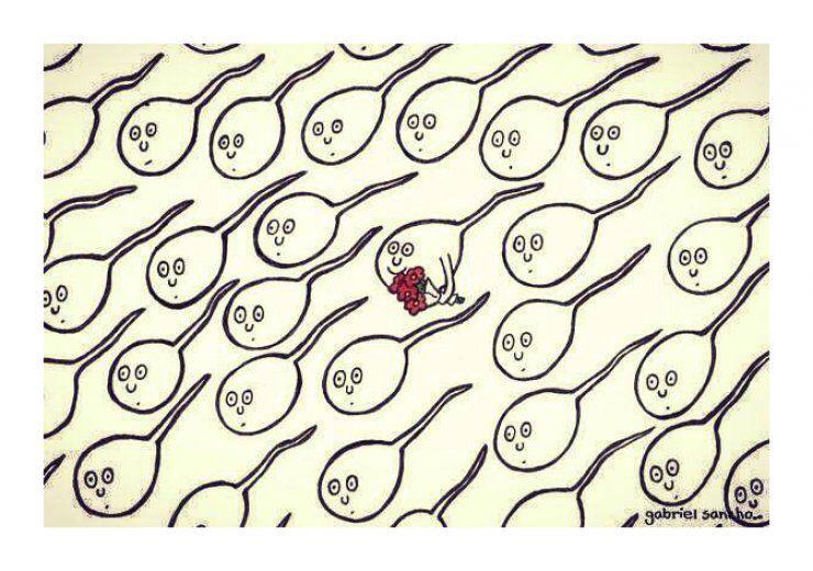 cateterdoblej's tweet photo. Siempre hay uno que destaca!!!. Ilustración de Gabriel Sancho. http://t.co/UioeabU0To
