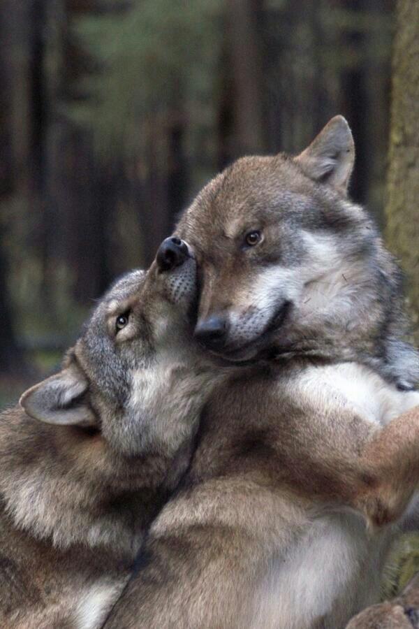 AlwaysMeKali's tweet image. 