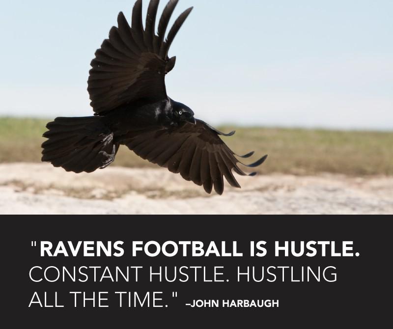 JoeFlacco's tweet photo. Ravens football is hustle. http://t.co/gvRp0cmAiY