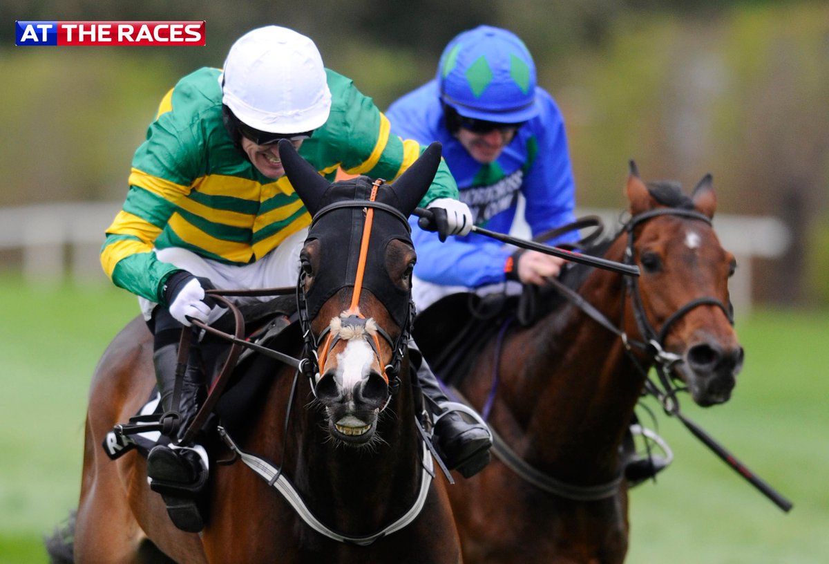 At The Races tweet media