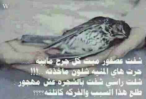 <a href="/Hh7Huda/">‏هّدٍوٌئيـ♥ روٌآيهّ</a> اوالله الرحيل صعب