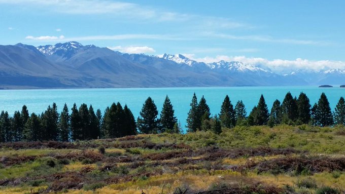 Gorgeous#new#zealand#sightseeing# highly#recommended#!♡ http://t.co/7pTeVYpyuz<a href="/tag/sophyavergara"class="tags"><span>#sophyavergara</span></a><a href="/tag/colombiancrush"class="tags"><span>#colombiancrush</span></a><a href="/tag/superbowlbeau"class="tags"><span>#superbowlbeau</span></a>