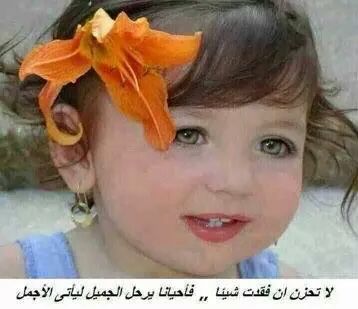 تصبحون على الف خير اخواني واخواتي