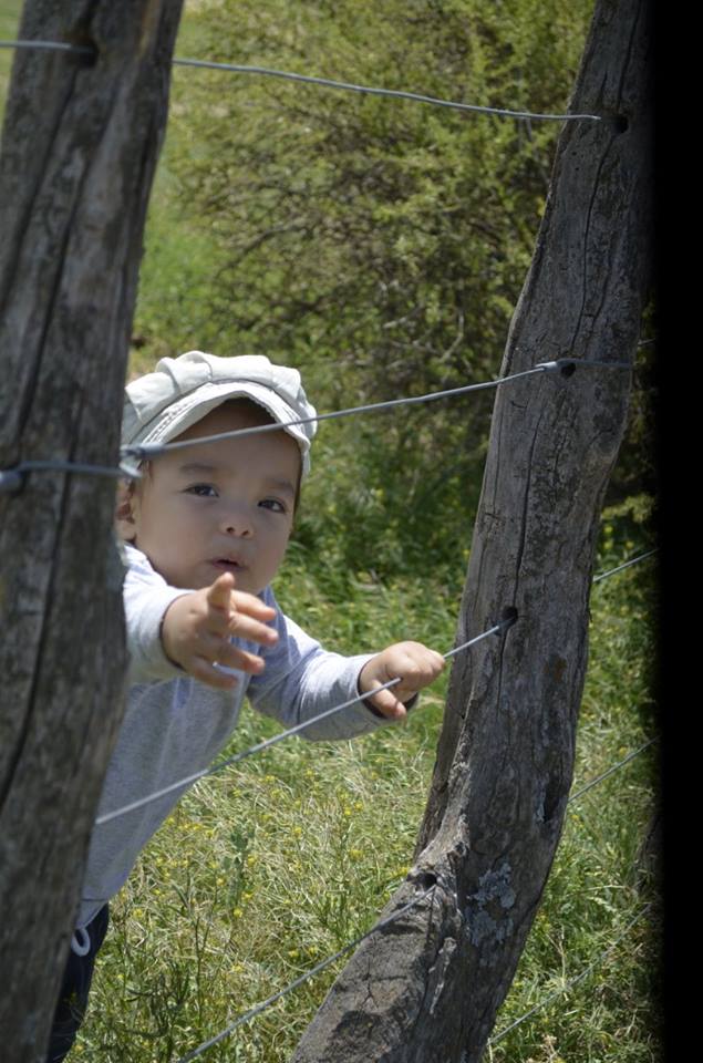 EstSanCarlos's tweet photo. Nuestro nieto Mateo disfrutando de un fin de semana en la Estancia http://t.co/8cIwdYZTGz