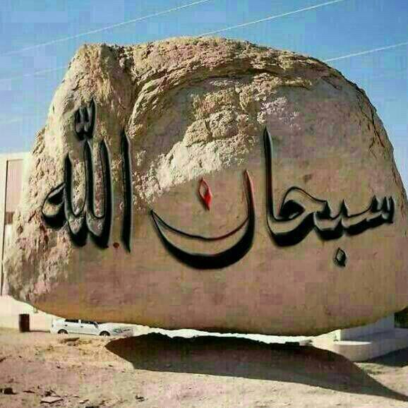 tarban1111's tweet photo. http://t.co/zFJsHlIR70