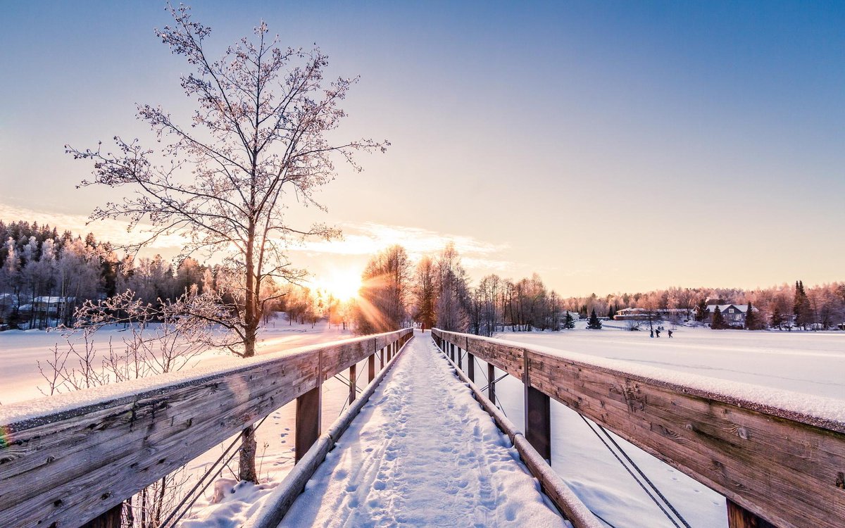 NaturePics tweet media