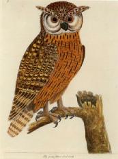 Nature in Art Museum Entry For Family of Four for £8 until 10 Jan 2015 tidd.ly/25a8b198 #sbs #gloshour