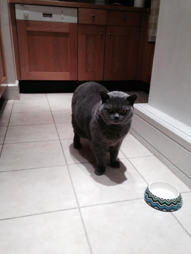 Cat’s Whiskers tweet media