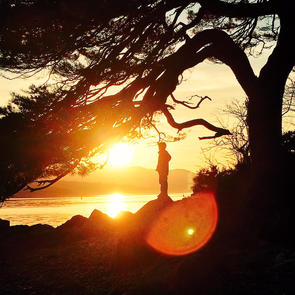 KarenCoakley1's tweet image. Shoreline walk with the kids and dogs this afternoon #WildAtlanticWay #lovelife #KerryLife