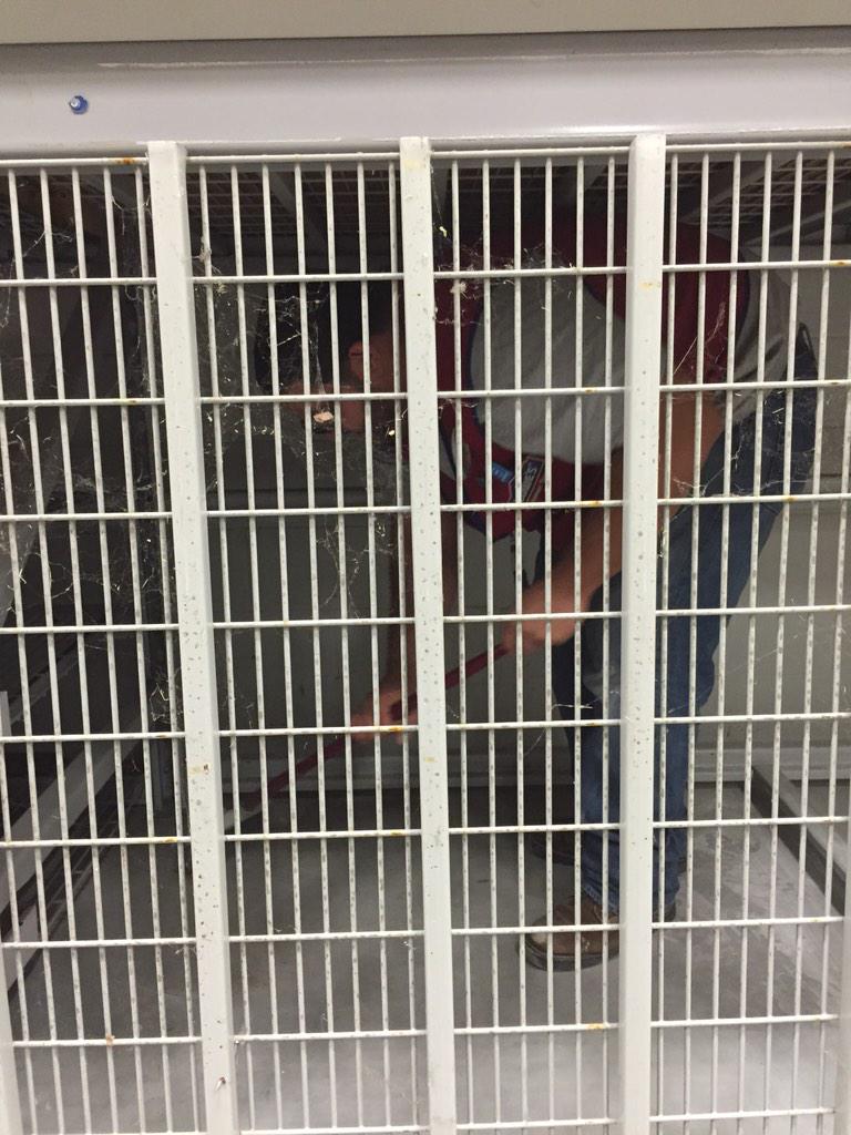 Ric Mruk tweet media