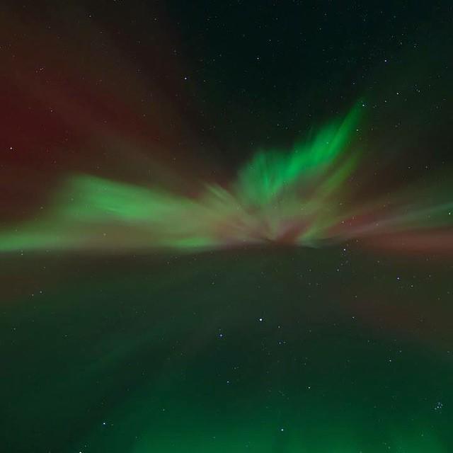 Because they're too hard to resist #northernlights #norway instagram.com/p/xKIZx7sMTn/