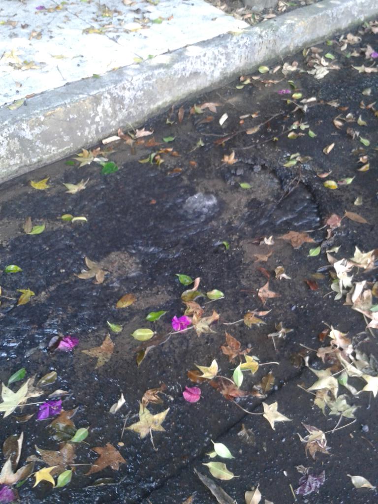 <a href="/Sacmex/">SACMEX</a> <a href="/DTlalpan/">Diego_Vecino_Tlalpan</a> <a href="/ManceraMiguelMX/">Miguel Ángel Mancera</a>  Enorme fuga en Camino a Sta Teresa, frente al 865,cerca d la Universidad La Salle