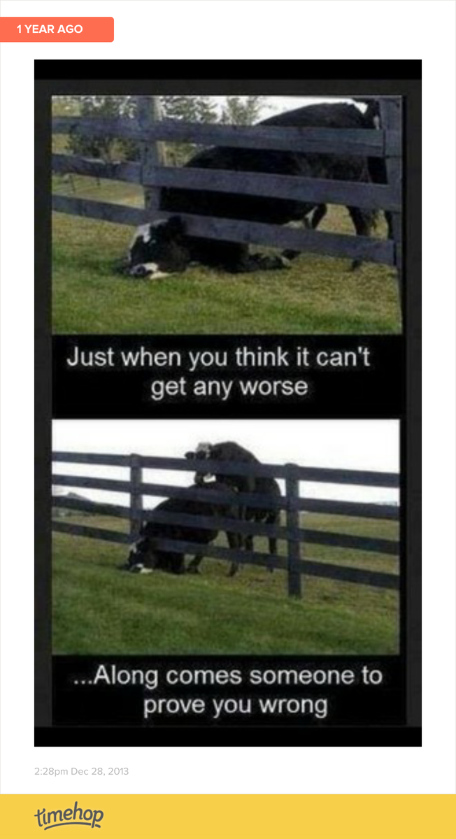 Aimee_slocombe's tweet photo. 😂 http://t.co/C5vGzihIBw http://t.co/nVsCK9aRHM