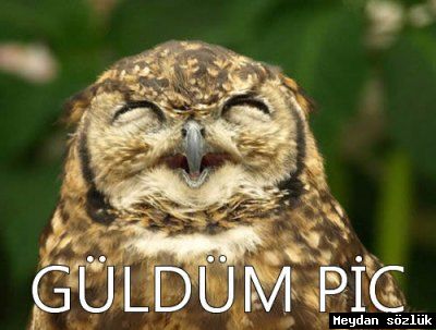 Son_Pic's tweet photo. #takipedenitakipederimm #TakipedeneAnındaGeriTakip #takipleselim #takibinarkaodası #takip #takipetmeyenin.... http://t.co/vNE30tfcH2