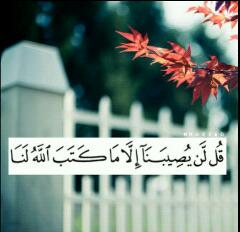 salom12699's tweet photo. http://t.co/6OenxfOaaG