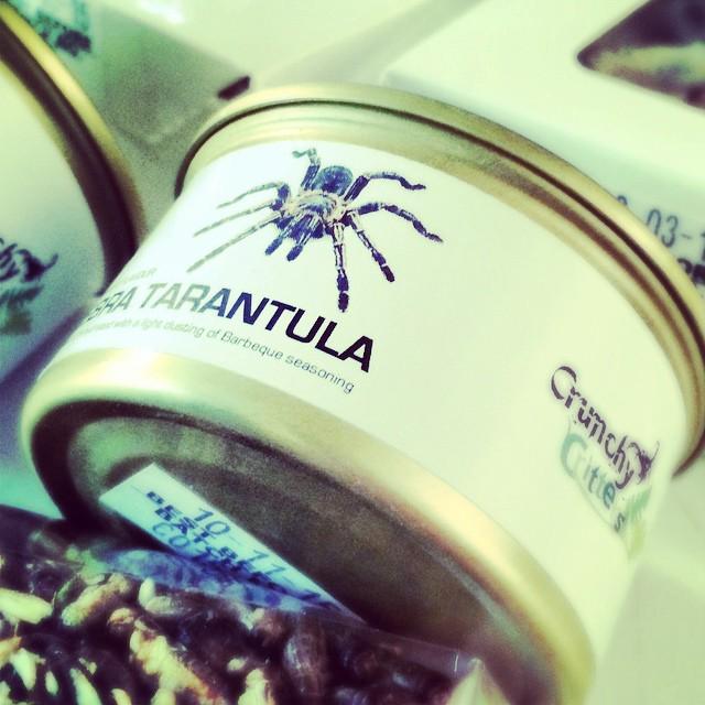 DesignRambles's tweet photo. Un aperitivo?...#InsectsElisava #maratoncreativa @elisavabcn by jessicafzc http://t.co/RkprrBkNHY