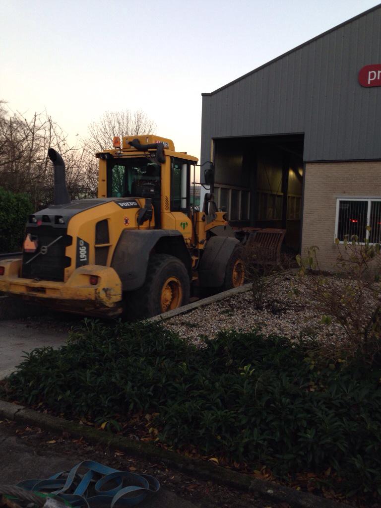 Best Bromelia (@bestbromelia) on Twitter photo 