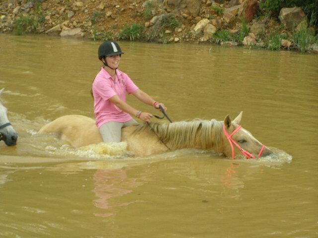 NeighQ1998 tweet picture