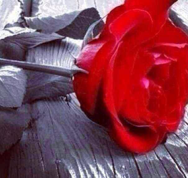 vipb7444's tweet photo. مسائكم ب الخيرر http://t.co/sNJZoqP47o