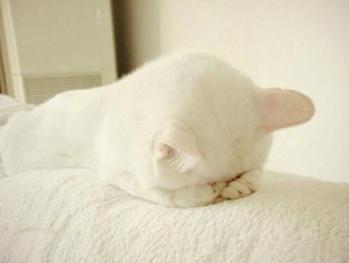 happy_Sasha_'s tweet photo. Завтра выходной, никуда не пойду. 😌😌😌 http://t.co/B21T2uc1P6