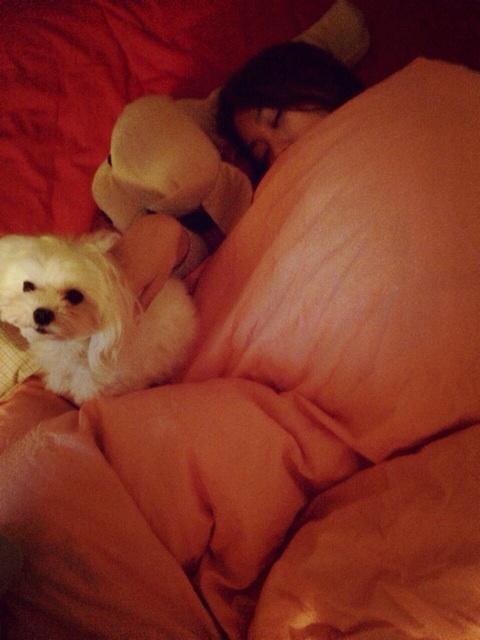 Still feeling ill. http://t.co/GHYRSfi3FD