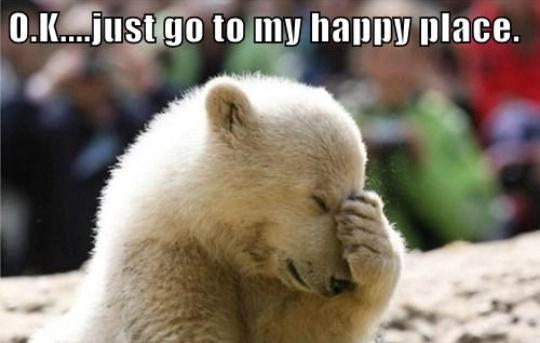 ACAmodels's tweet photo. #isitFridayYet!!! @vickers1993 @kellyleigh69 @jamesstewart94 @stephmcgall @ChloeA7 @AnnaHenry4 @lucystewart6 #teamaca http://t.co/pSqIvfHsXl