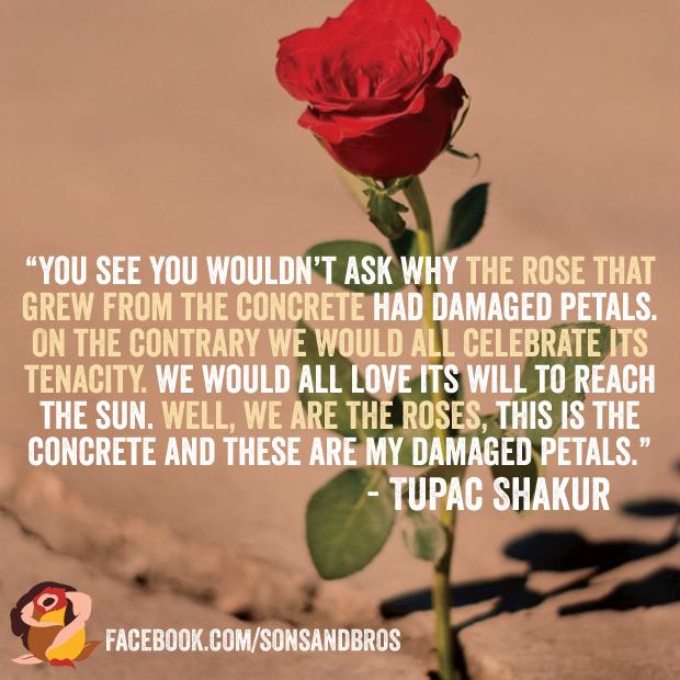you-see-you-wouldn-t-ask-why-the-rose-that-grew-from-the-concrete