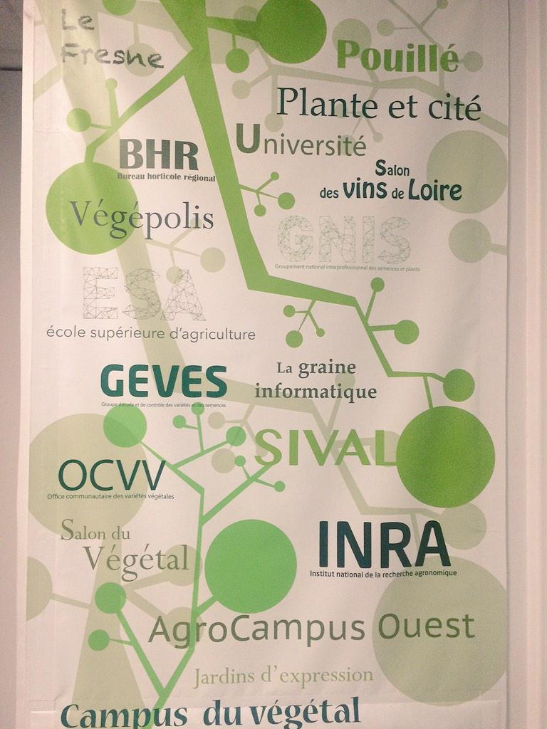 lpoucan's tweet image. Eco système #végétal #Angers 🌿#inforgraphie