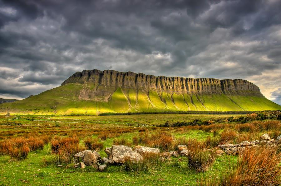 IrelandB4UDie tweet picture
