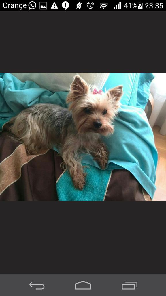 CaarolinaaGonz's tweet photo. A dormirla con mi cosita :)) http://t.co/sy5tzAcwT4