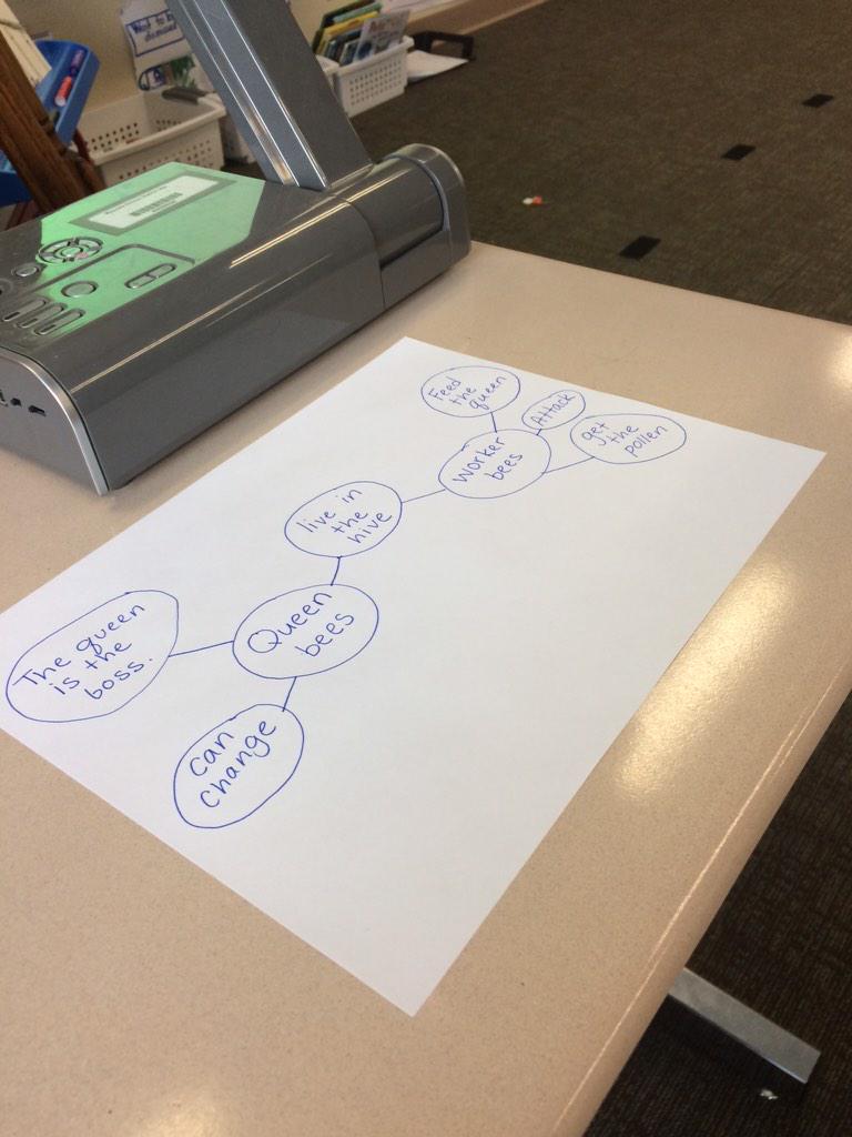 MrsLewis208's tweet photo. We compared and contrasted queen bees and worker bees today! http://t.co/jThqn0MeCV