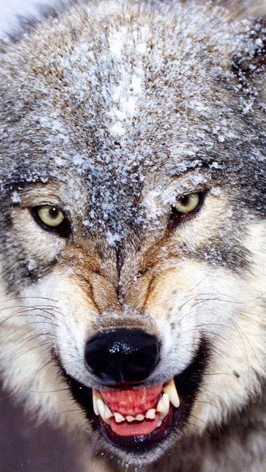 Smalltuber's tweet image. Hey. First post. Yay!