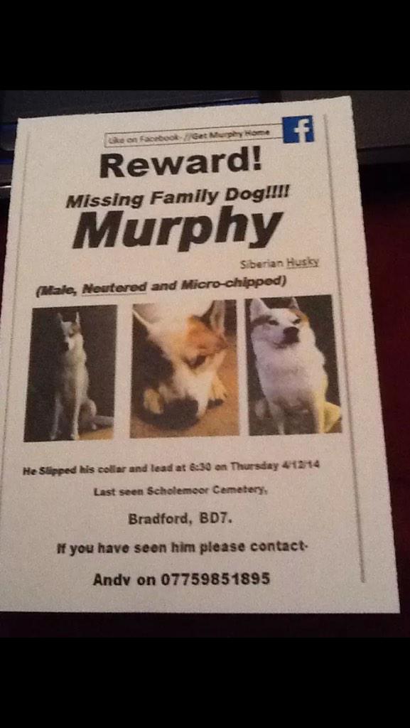 willywotsit73's tweet photo. @SunderlandAFC Please, please, please RT this appeal. We need Murphy home for Christmas. http://t.co/hJxASQ470G