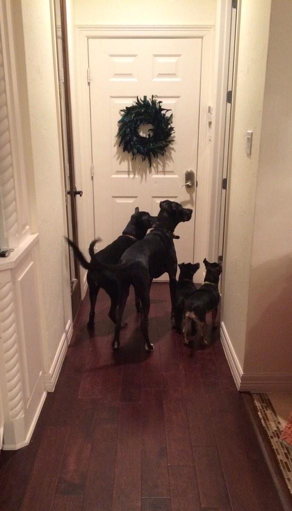 stanky_kanks's tweet photo. The obstacles you have to take to get through the door in my house #StillMissingOne http://t.co/rk4CKgWXA2