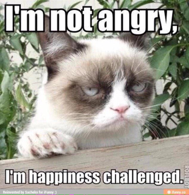 303MusicSource's tweet photo. Me every day. http://t.co/mW5jP5mLgT