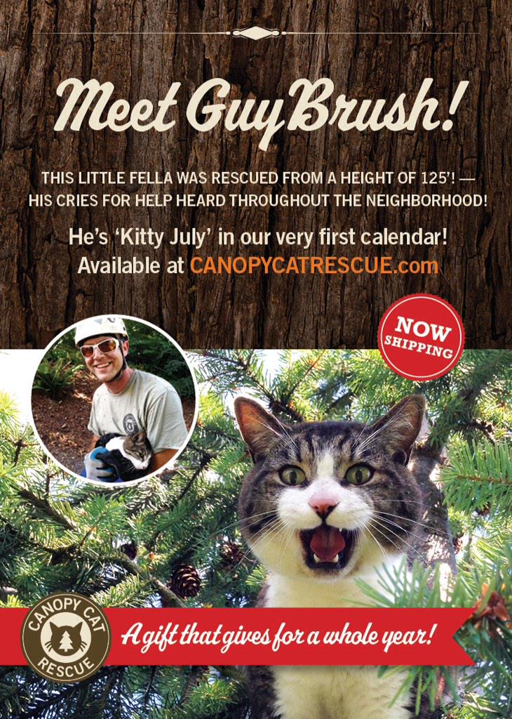 canopy cat rescue on twitter how can you help support ccr order a