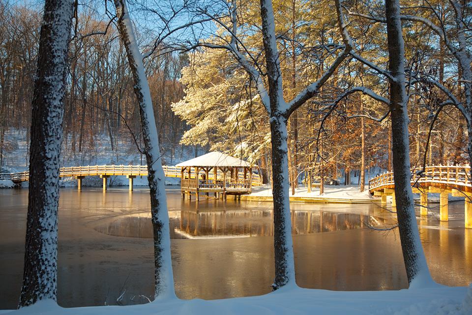 Our office will close December 23 at 5 p.m. and will reopen January 2 at 8:30 a.m. 

Happy Holidays, Spiders!