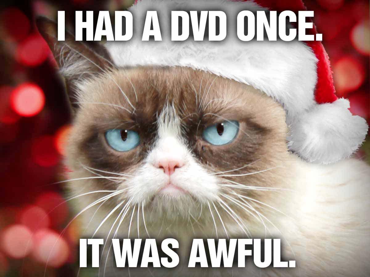 RealGrumpyCat tweet picture