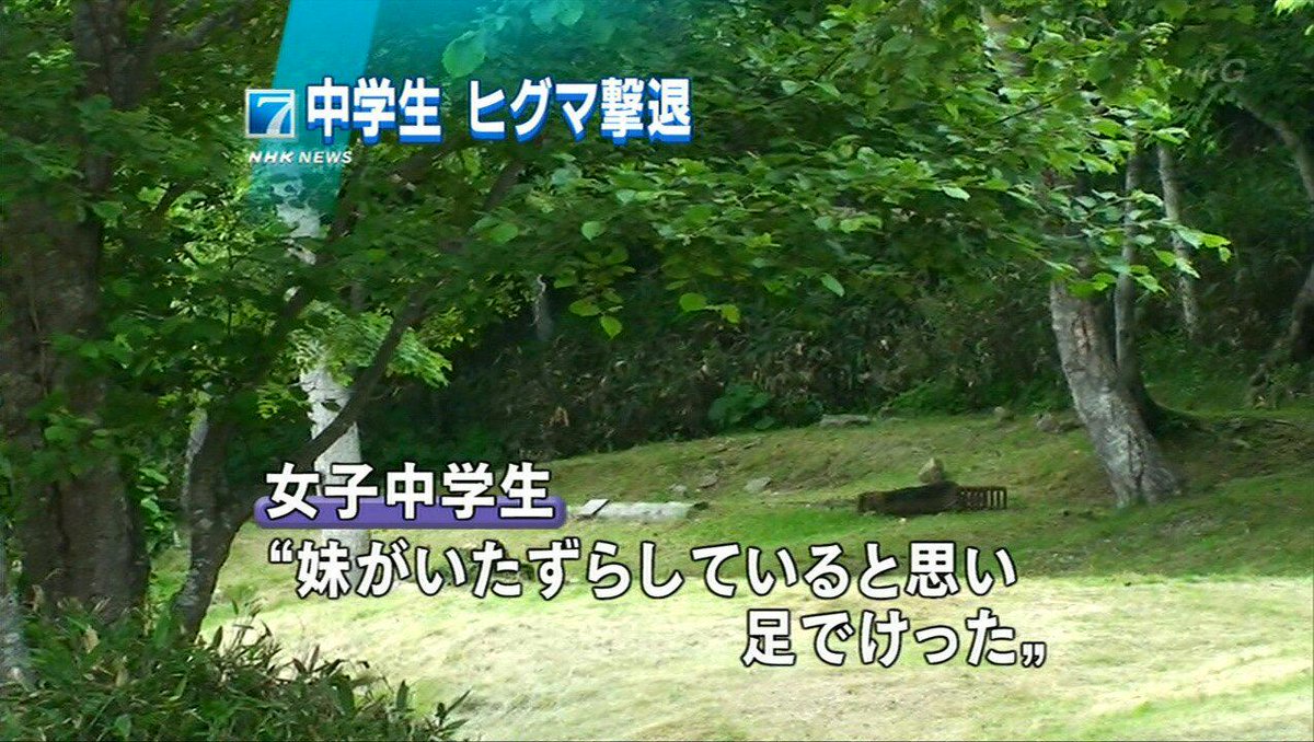 Twitterで画像を見る