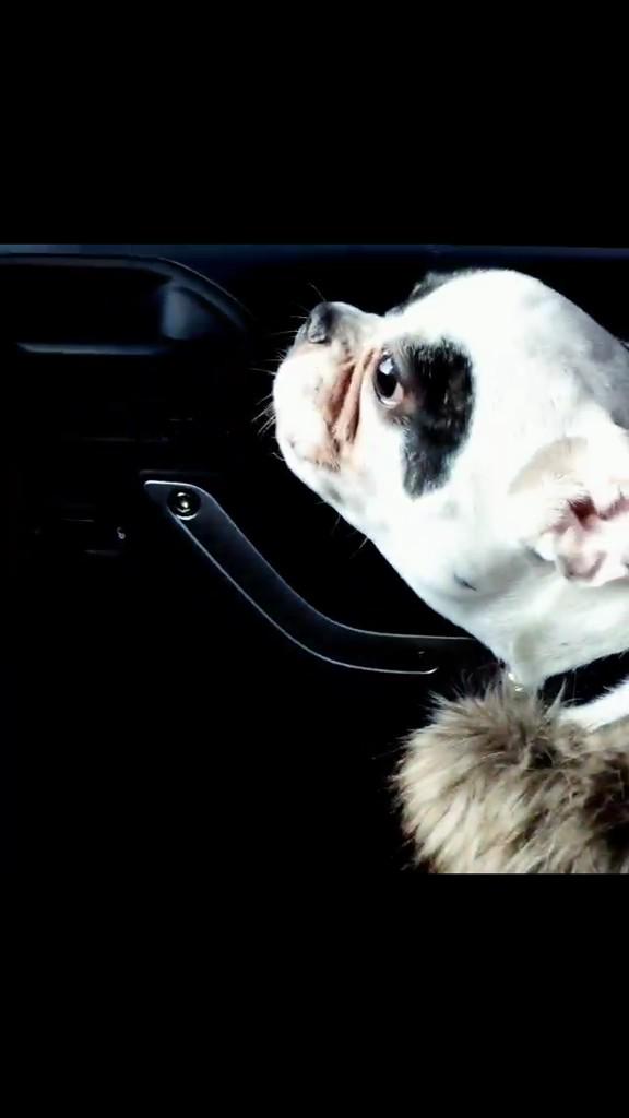 SiwonIsm_Taiwan's tweet image. @Keenie0516 @siwon407 #1위가수 #number1Singer #Bugsy 👑