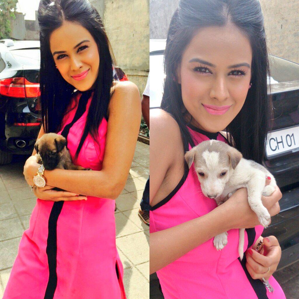 Embedded image permalink