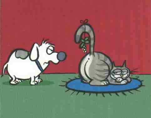 ljhamilton88's tweet photo. I can't stop laughing. Hehehe http://t.co/WMAureh49j