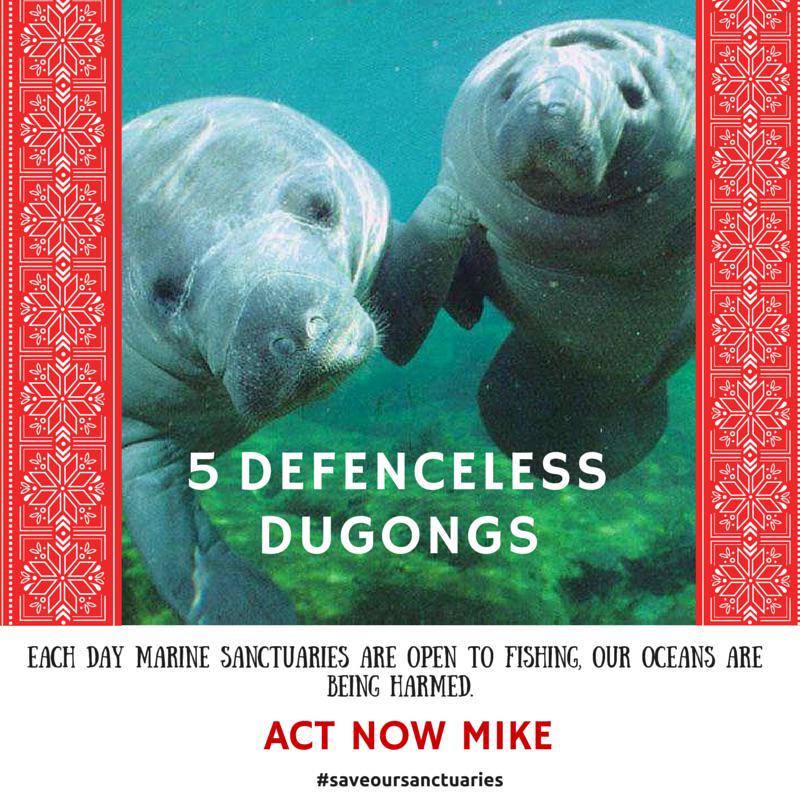 On the 5th day of christmas, i was sad to see, 5 defenceless dugongs with no sanctuary #saveoursanctuaries