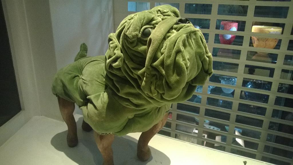 A nice dog in a shop window in London.