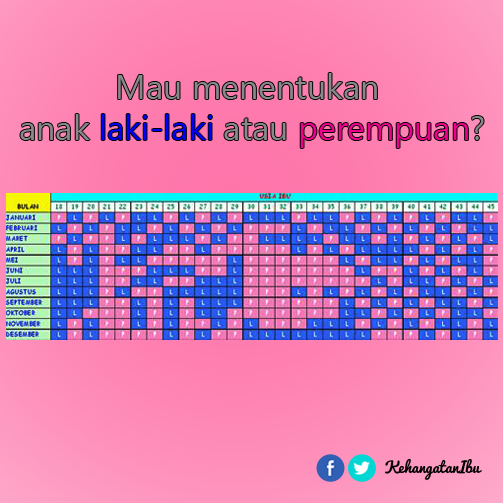 KehangatanIbu's tweet photo. Daripada percaya #mitoshamil , ibu bisa coba hal ini untuk membantu menentukan jenis kelamin si kecil kelak ;) http://t.co/tY5SQATEu0